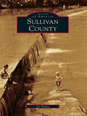 cover image of Sullivan County